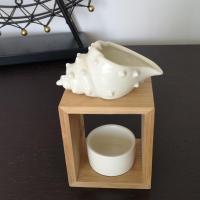 Coquillage 2