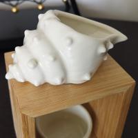 Coquillage 4