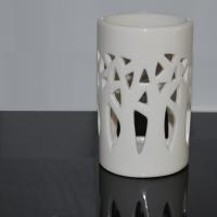 Foret blanc 1 
