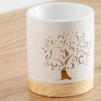 Lifetree 1